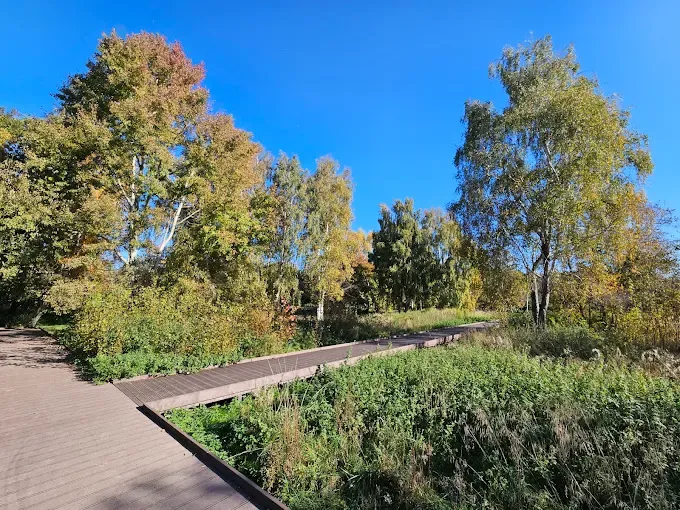 Park Prezydenta Ronalda Reagana